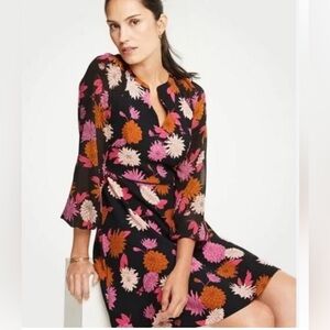 Ann Taylor Autumnal Black Dress with Chiffon Sleeves Size 0